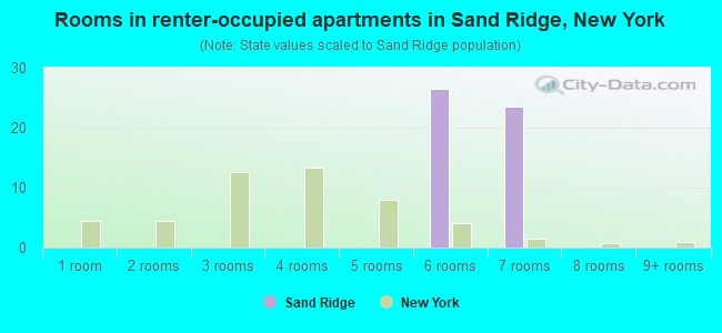 Rooms in renter-occupied apartments in Sand Ridge, New York