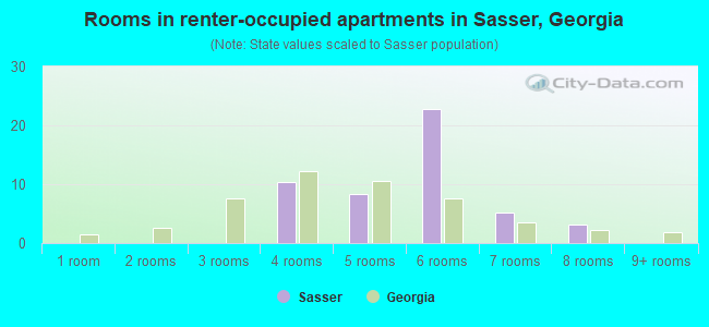 Rooms in renter-occupied apartments in Sasser, Georgia