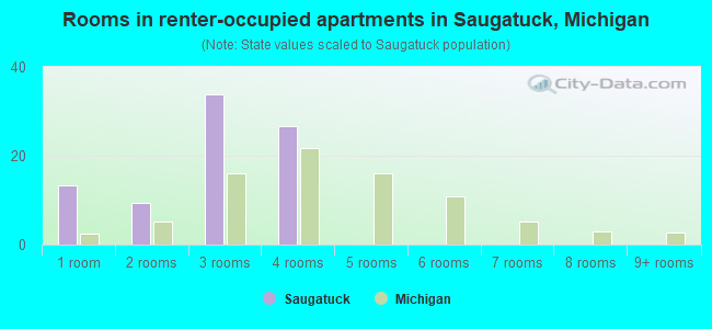 Rooms in renter-occupied apartments in Saugatuck, Michigan