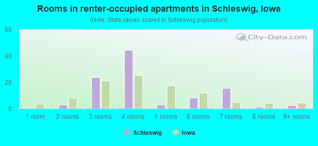 Rooms in renter-occupied apartments in Schleswig, Iowa