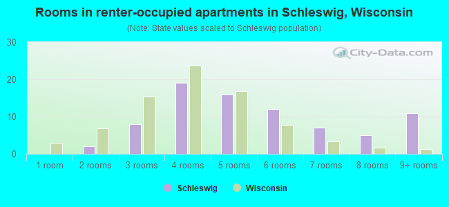 Rooms in renter-occupied apartments in Schleswig, Wisconsin