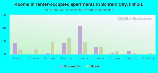 Rooms in renter-occupied apartments in Schram City, Illinois