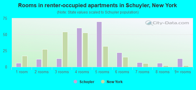Rooms in renter-occupied apartments in Schuyler, New York