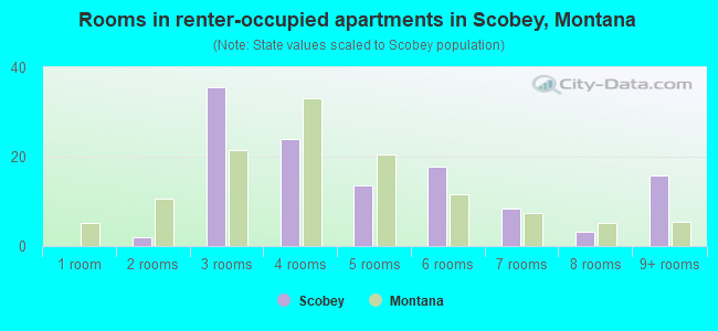 Rooms in renter-occupied apartments in Scobey, Montana