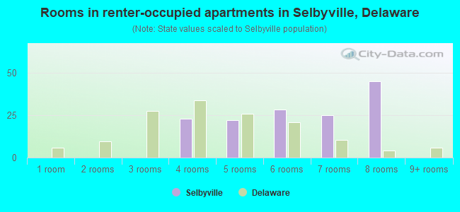Rooms in renter-occupied apartments in Selbyville, Delaware