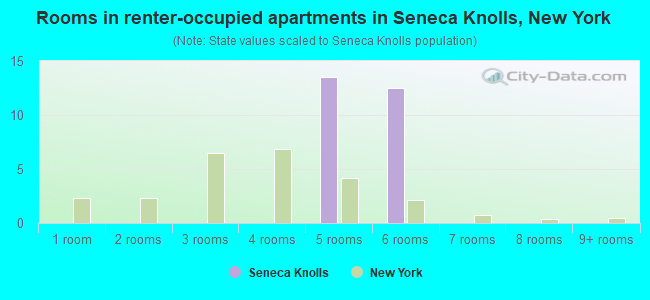 Rooms in renter-occupied apartments in Seneca Knolls, New York