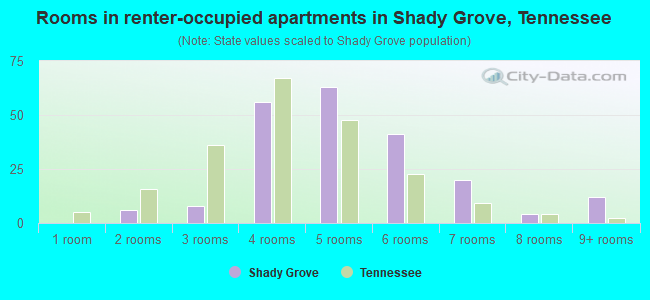 Rooms in renter-occupied apartments in Shady Grove, Tennessee