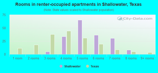 Rooms in renter-occupied apartments in Shallowater, Texas