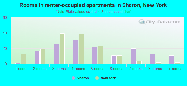 Rooms in renter-occupied apartments in Sharon, New York