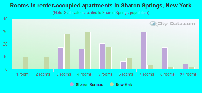 Rooms in renter-occupied apartments in Sharon Springs, New York