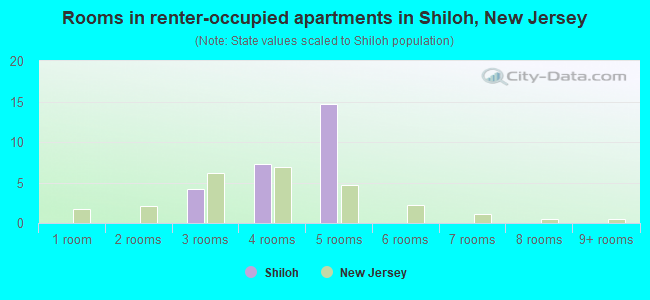 Rooms in renter-occupied apartments in Shiloh, New Jersey