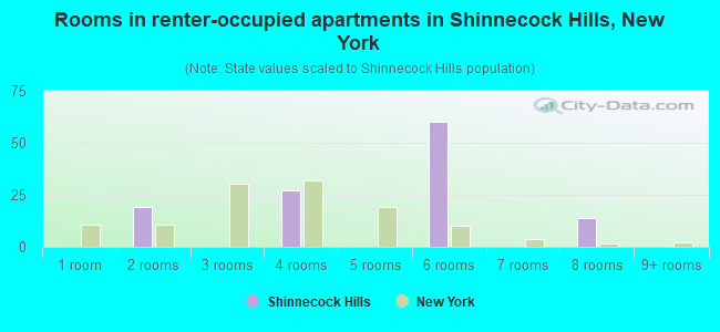 Rooms in renter-occupied apartments in Shinnecock Hills, New York