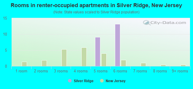 Rooms in renter-occupied apartments in Silver Ridge, New Jersey