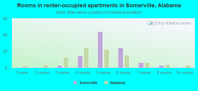 Rooms in renter-occupied apartments in Somerville, Alabama