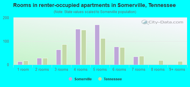 Rooms in renter-occupied apartments in Somerville, Tennessee