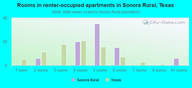 Rooms in renter-occupied apartments in Sonora Rural, Texas
