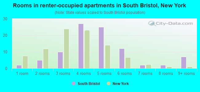 Rooms in renter-occupied apartments in South Bristol, New York