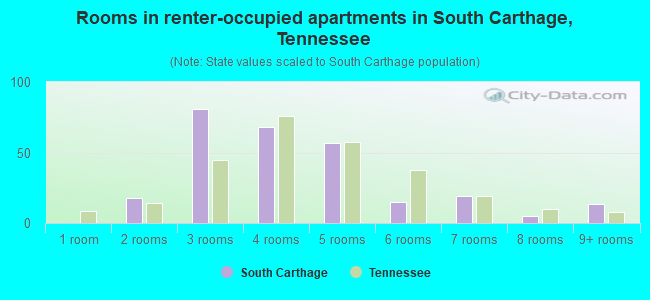 Rooms in renter-occupied apartments in South Carthage, Tennessee