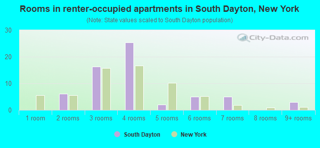 Rooms in renter-occupied apartments in South Dayton, New York