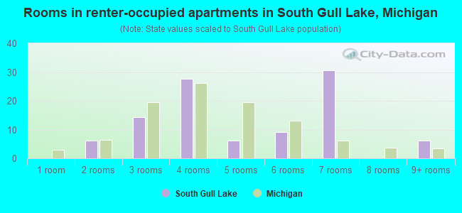 Rooms in renter-occupied apartments in South Gull Lake, Michigan