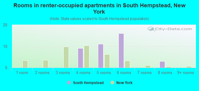 Rooms in renter-occupied apartments in South Hempstead, New York