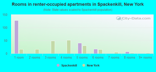 Rooms in renter-occupied apartments in Spackenkill, New York