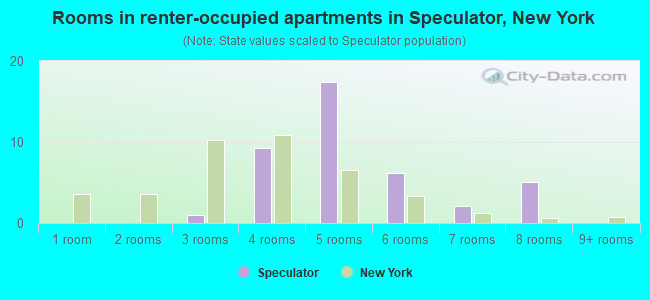 Rooms in renter-occupied apartments in Speculator, New York