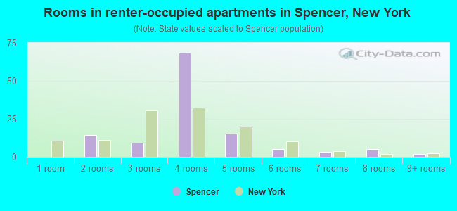 Rooms in renter-occupied apartments in Spencer, New York
