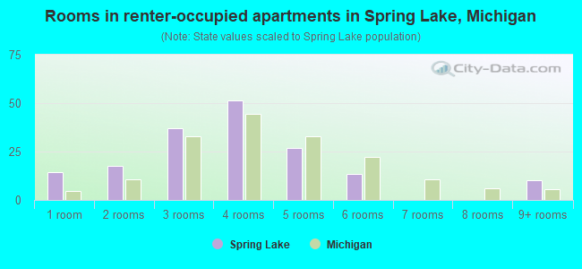 Rooms in renter-occupied apartments in Spring Lake, Michigan