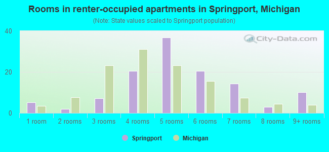 Rooms in renter-occupied apartments in Springport, Michigan