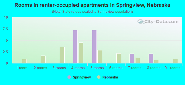 Rooms in renter-occupied apartments in Springview, Nebraska