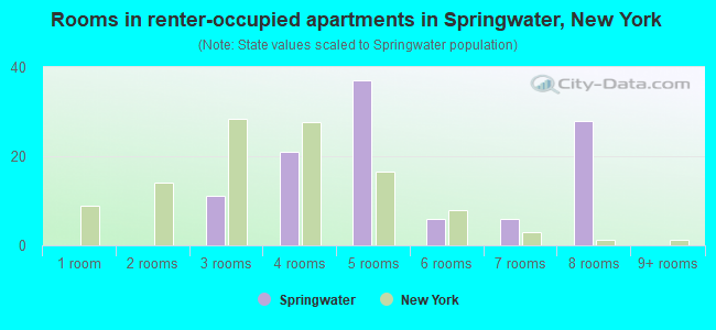 Rooms in renter-occupied apartments in Springwater, New York