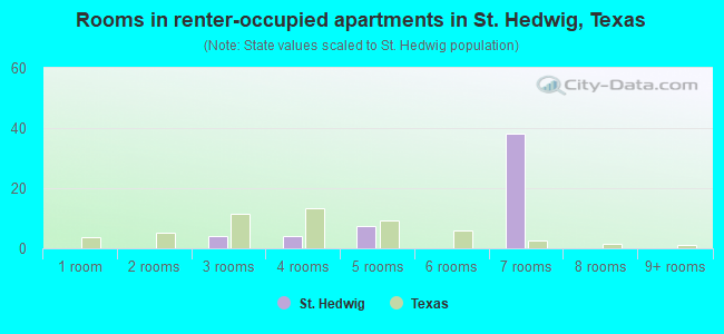 Rooms in renter-occupied apartments in St. Hedwig, Texas