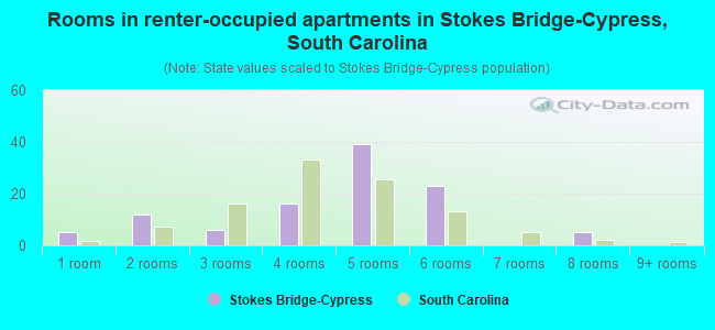 Rooms in renter-occupied apartments in Stokes Bridge-Cypress, South Carolina