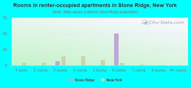 Rooms in renter-occupied apartments in Stone Ridge, New York