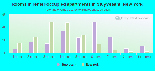 Rooms in renter-occupied apartments in Stuyvesant, New York