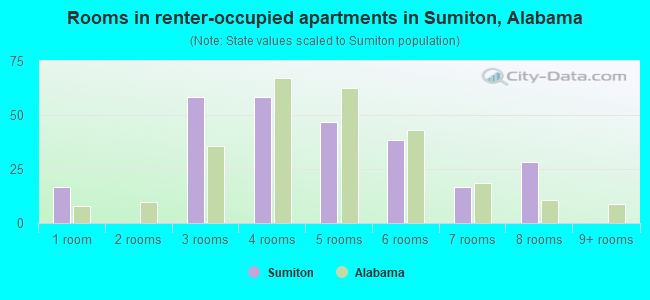Rooms in renter-occupied apartments in Sumiton, Alabama