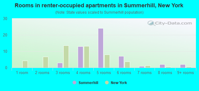 Rooms in renter-occupied apartments in Summerhill, New York