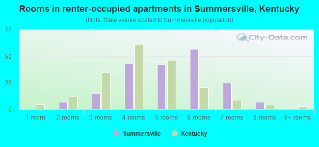 Rooms in renter-occupied apartments in Summersville, Kentucky