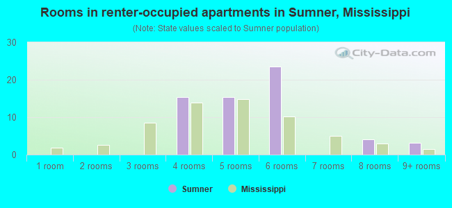 Rooms in renter-occupied apartments in Sumner, Mississippi