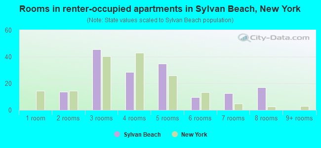 Rooms in renter-occupied apartments in Sylvan Beach, New York