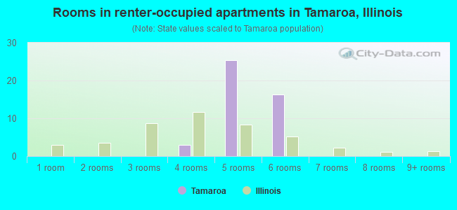 Rooms in renter-occupied apartments in Tamaroa, Illinois