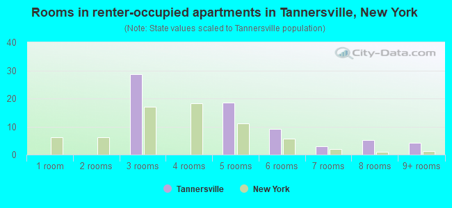 Rooms in renter-occupied apartments in Tannersville, New York