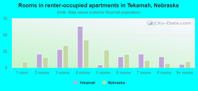 Rooms in renter-occupied apartments in Tekamah, Nebraska
