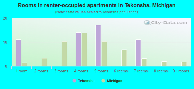 Rooms in renter-occupied apartments in Tekonsha, Michigan