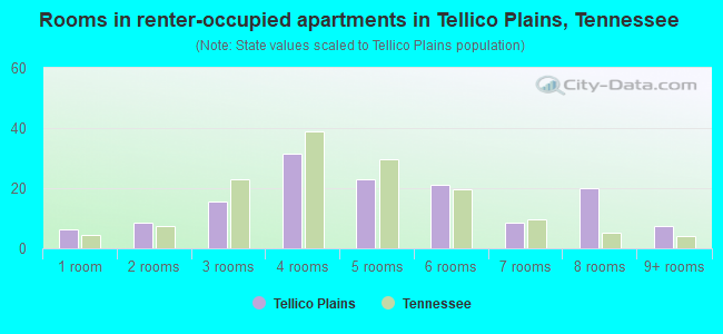 Rooms in renter-occupied apartments in Tellico Plains, Tennessee