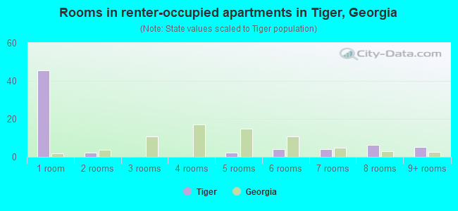 Rooms in renter-occupied apartments in Tiger, Georgia