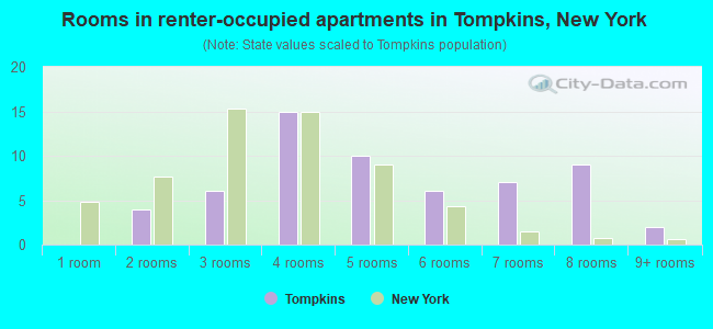 Rooms in renter-occupied apartments in Tompkins, New York