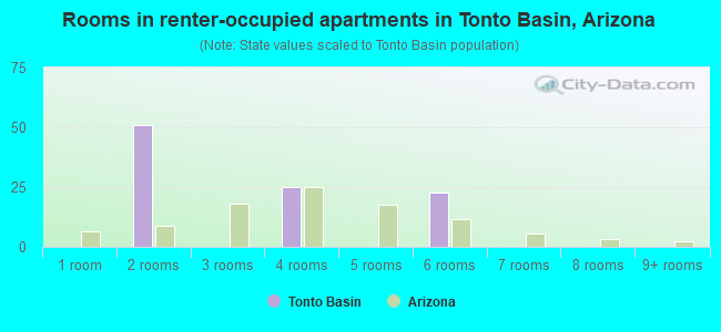 Rooms in renter-occupied apartments in Tonto Basin, Arizona