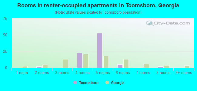 Rooms in renter-occupied apartments in Toomsboro, Georgia